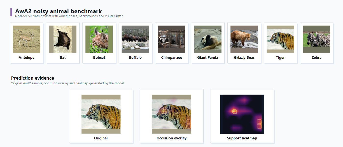 Nine examples from the AwA2 animal dataset, with a tiger image, its occlusion overlay and support heatmap below.