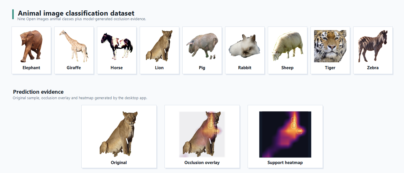 A sheet of nine animal classes (elephant, giraffe, horse, lion, pig, rabbit, sheep, tiger, zebra), and below it a lion with its occlusion overlay and support heatmap.